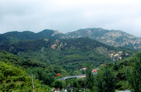 山脈 山川 森林植被