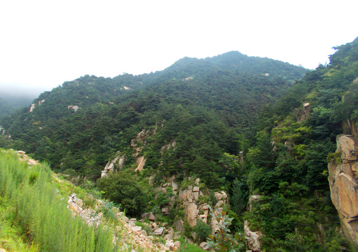 高山 山脈