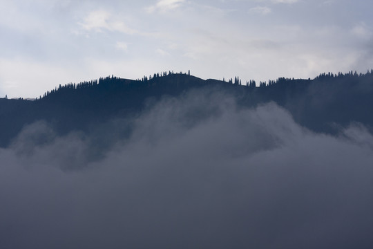 霧 山 云