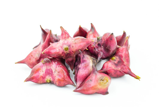 菱角
