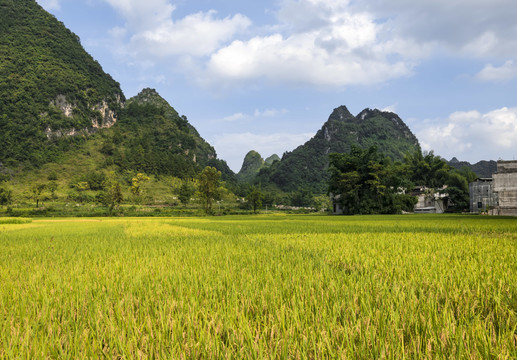 廣西靖西鵝泉風(fēng)光