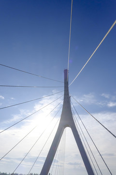 橋