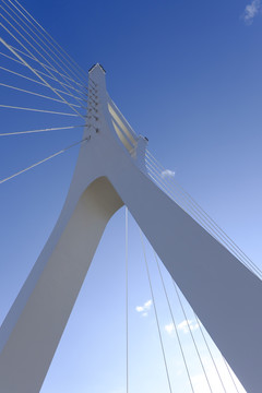 橋