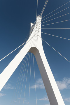 橋