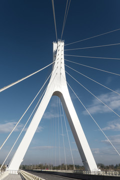 橋