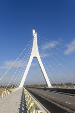 公路橋