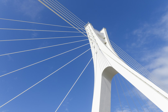 橋
