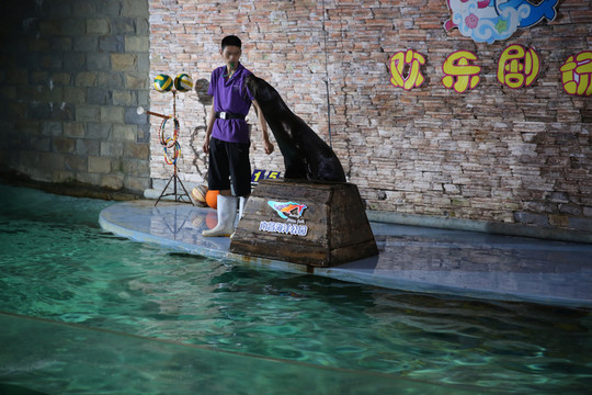 南昌海洋公園