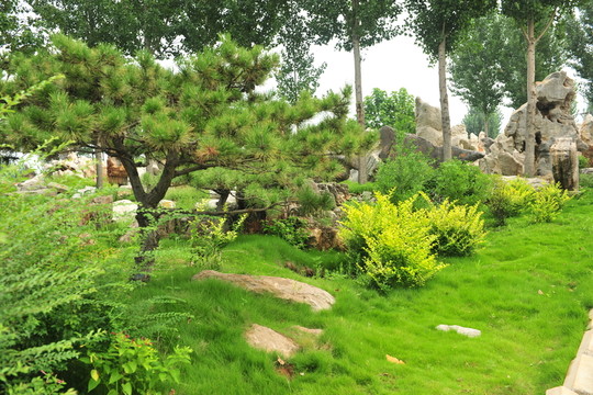景觀園林 園林綠化 風景區(qū)