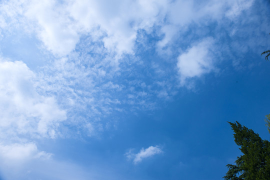 藍(lán)天 天空 白云