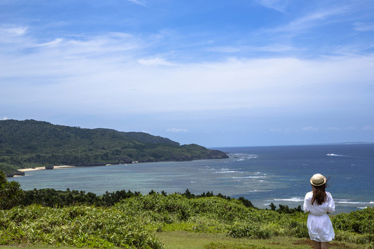 美麗的日本海島海景