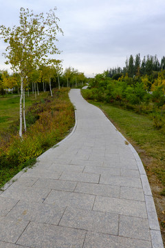 公園小路