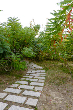 小路