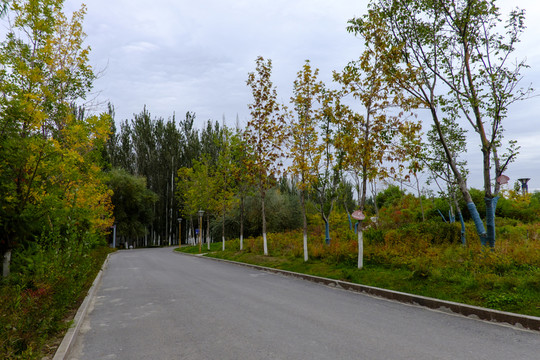 小路