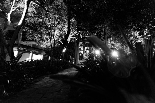 夜色茫茫 黑白