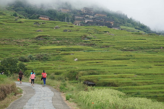梯田
