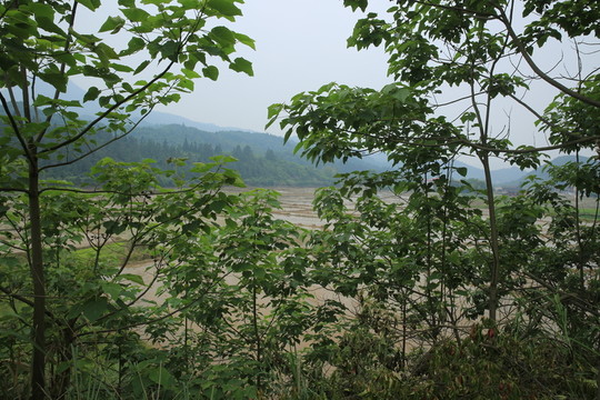 田園風(fēng)光