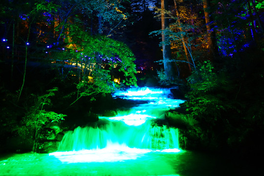 森林山溪燈光夜景