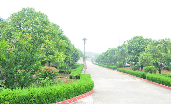 廠區(qū)風景 公園風景