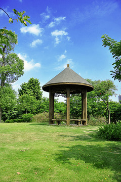 綠洲公園草地上木亭子