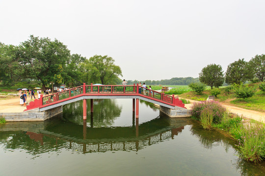 圓明園荷花拱橋