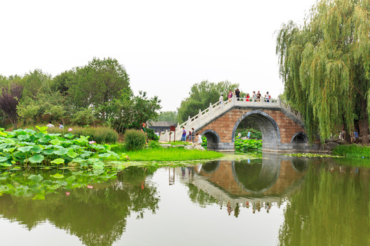 圓明園荷花拱橋
