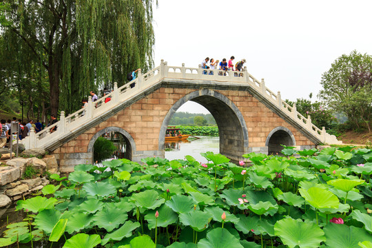 圓明園荷花拱橋