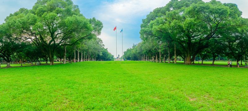 中山大學(xué)古樹綠道草坪全景接片