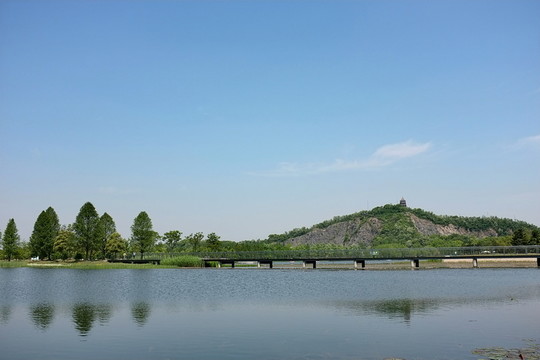 上海辰山植物園