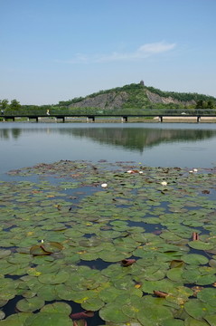 上海辰山植物園