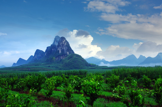 唯美風(fēng)景 山景