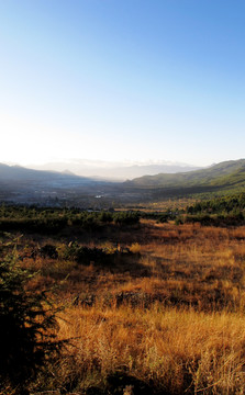 野草遠(yuǎn)山