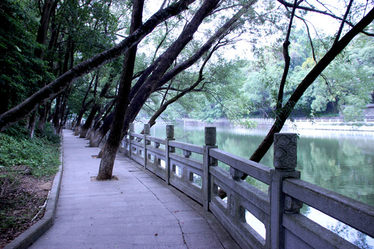 湖邊小景