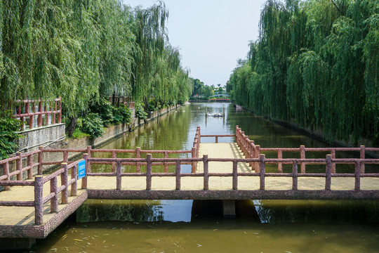 楊柳小河棧橋