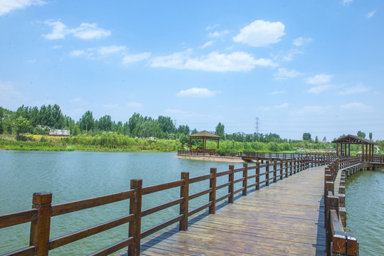 木橋 公園建筑 藍(lán)天白云