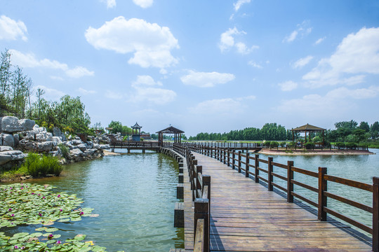 公園風(fēng)景 河岸風(fēng)光