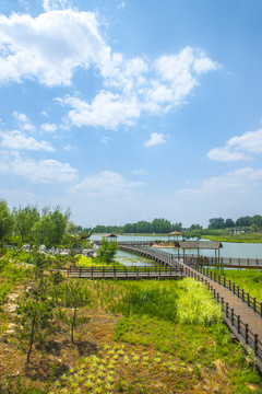 高清白云 公園風(fēng)景