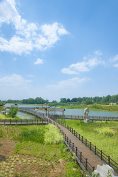 公園風(fēng)景 白云