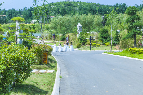 公路 道路