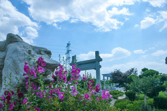公園風(fēng)景 旅游區(qū) 白云