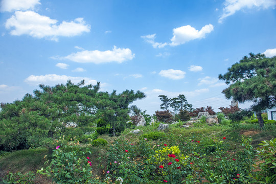 旅游區(qū)風(fēng)景 天空 白云藍(lán)天