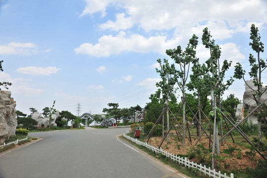 公園風景 奇石園林 藍天白云
