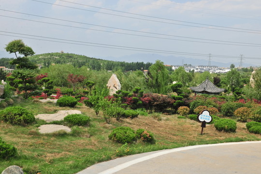 公園風(fēng)景