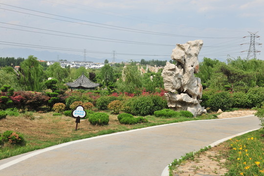 奇石園 景觀園林
