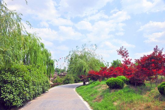 高清公園風(fēng)景