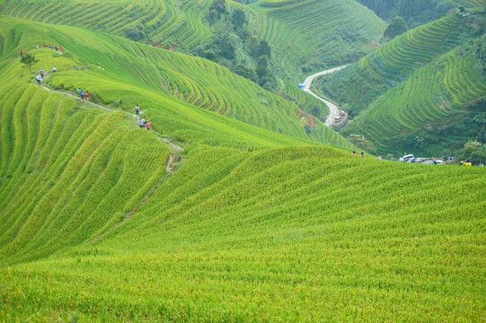 龍勝龍脊