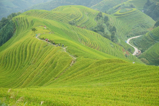 龍勝龍脊