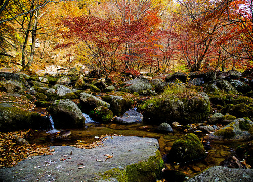山間秋色