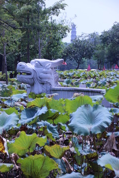 龍頭雕塑