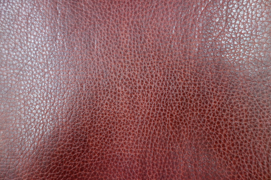 皮紋